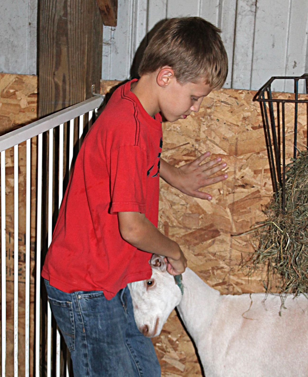 Goat-get-em'